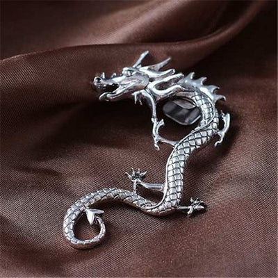 Aretes Dragón en Plata